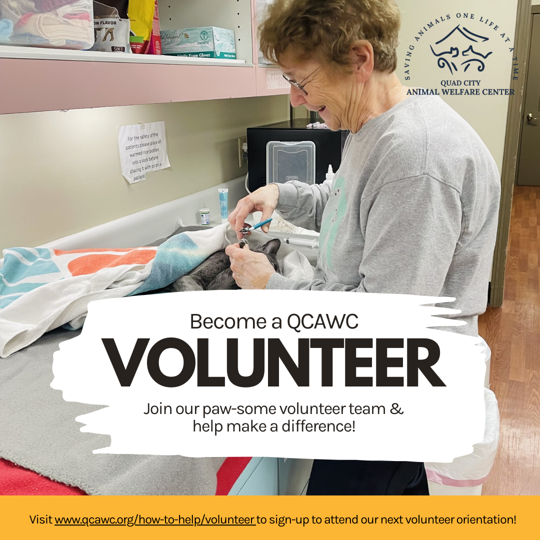 Volunteer orientation graphic clinic